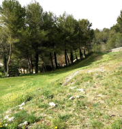 22-footgolf-cup-2015-etape-3-marseille-la-salette.jpeg