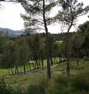 29-footgolf-cup-2015-etape-3-marseille-la-salette.jpeg