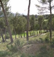30-footgolf-cup-2015-etape-3-marseille-la-salette.jpeg