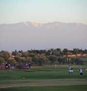 dsc_7187.jpg